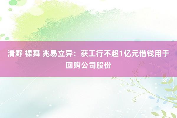 清野 裸舞 兆易立异：获工行不超1亿元借钱用于回购公司股份